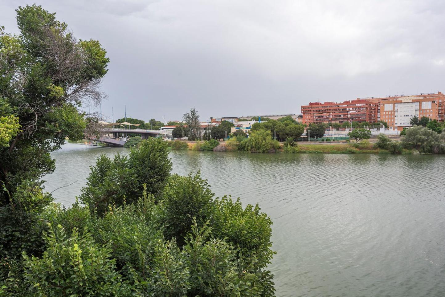 Alohamundi Castilla V-Vi Sevilla Exteriör bild